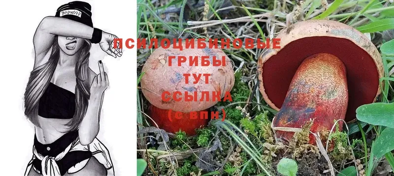 Псилоцибиновые грибы Magic Shrooms  где продают наркотики  Бежецк 